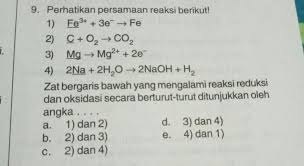 1 Zat Bergaris Bawah Yang Mengalami Reaksi Reduksi Dan Oksidasi Secara Berturut Turut Ditunjukkan Brainly Co Id