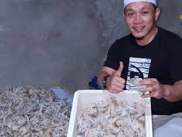 Permintaan (sarang walet) bahan baku mentah dan barang siap konsumsi atau bersih semakin meningkat setiap tahun nya. Virus Corona Intervensi Harga Sarang Burung Walet Korankaltara Com