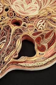 The label has been lasting, but is actually only true about one period of her career Quilled Tissue Series Lisa Nilsson