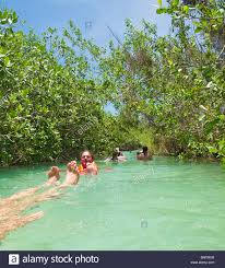 I had the best day i've had in a long time! Besucher Schweben Nach Unten Mangrove Kanal Von Sian Ka Biospharen Reservat An Der Riviera Maya Stockfotografie Alamy