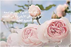 نتيجة بحث الصور عن صور ذكر الله Plants Rose Flowers