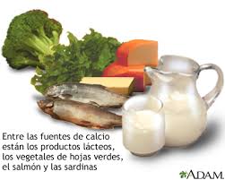 Calcio La Vitamina D Y Sus Huesos Medlineplus Enciclopedia Medica