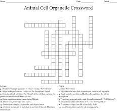 A cell is the fundamental structural and functional unit of all life forms. Animal Cell Organelle Crossword Wordmint