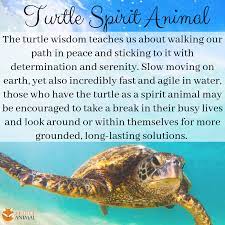 Turtle Totem Turtle Spirit Animal Turtle Quotes Turtle