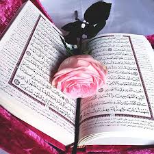 epingle par نوره nora sur صور اسلامية fond d ecran colore fond decran islam coran livre