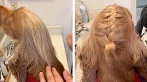 Groom only in the direction of hair growth never up or forward. Girl Braid S Her Dogs Long Fur Youtube