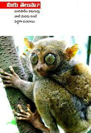 Pin By Vasu Chittoor Ap Speedzonecate On Vasu Chittoor Telugu Owl Chittoor Bird