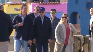 Image result for Bidens crocea