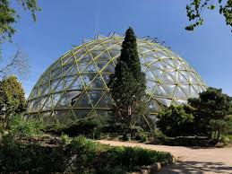 Sammlungen botanischer gärten in deutschland. Wohl Der Hasslichste Botanische Garten In Ganz Deutschland Botanischer Garten Dusseldorf Reisebewertungen Tripadvisor