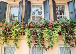 It's definitely spring in charleston and the whole city is green and in bloom! Best Of Charleston Gardens Just A Girl Blog