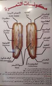 مكونات التمرة حديث بيت لا تمر فيه جياع أهله رواه مسلم Health Fitness Nutrition Health Facts Health Facts Food