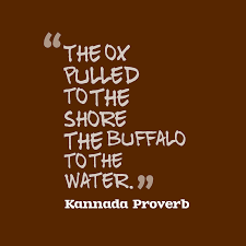 Browse famous buffalo quotes and sayings by the thousands and rate/share your favorites! Kannada Wisdom S Quote About The Ox Pulled To The