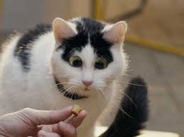 Brand: Temptations • Ads of the World™