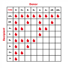 National blood donor month blood type compatibilities, basic eligibility guidelines for blood donation securenow blog, organ donor organ transplant organ donor services, blood types chart 7 free pdf download documents free, blood types chart jasonkellyphoto co. About Blood New Zealand Blood Service