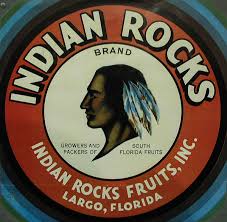 Indian Rocks Fruits Largo Florida Vintage Advertising Art Vintage Labels Cigar Store Indian