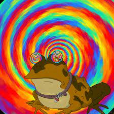 Tumblr Of1g2g70ux1txeruoo1 R1 400 Gif 400 400 Frog Drawing How To Fall Asleep Futurama Tattoo