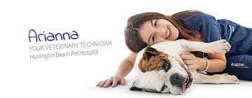 Check spelling or type a new query. Huntington Beach Ca 92646 Veterinarian Huntington Beach Pet Hospital