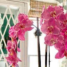 We are an up and coming corporation that specialize in wholesale silk flowers, greeneries, plants, vases, dried natural and artificial flowers and weddings supplies. Friends Of Faux Designers Embrace Fake ï¬‚owers The Spokesman Review