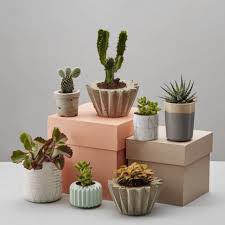 Best Office Cubicle Decor Ideas Domino Cubicle Decor Office Work Cubicle Decor Cubicle Decor