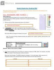 Enzymes read the dna code and build a new dna molecule from scratch. Vinicio Rodriguez Dna Structure Gizmo Pdf Student Exploration Building Dna Directions Follow The Instructions To Go Through The Simulation Respond Course Hero