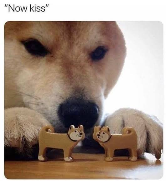 images?q=tbn:ANd9GcQZVe6T2z-QGr-6GoLY4cq