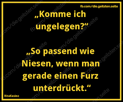 Diegeilsten Ungelegen Png Von Torsten Ohne H Lustige Spruche Witzige Spruche Spruche