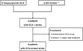 flow chart of the study in dijon between 1 january 2001