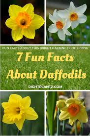 Pin On Garden Blogs
