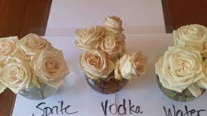 If you pick up your flowers from a florist, you can. Flowers In Sprite For Mother S Day Youtube