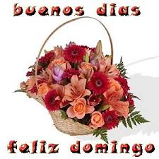 Resultado de imagen de buenos días domingo con flores