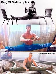 Image result for Van Damme split