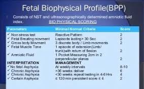 Image result for Biophysical Profile