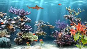 c reef aquarium animated wallpaper