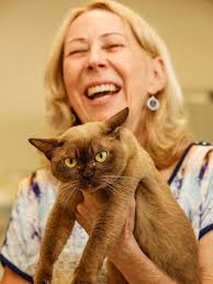 Cat Association of the Northern Territory: cat show feature