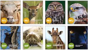 Pin De Hewlett Packard Lovecraft Em Myers Briggs Type Indicator Infj Intj Tipos De Formas