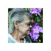 Search Nancy Toms Obituaries and Funeral Services