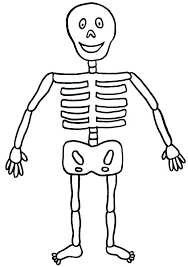 We did not find results for: Easy Drawing Of Skeleton Novocom Top
