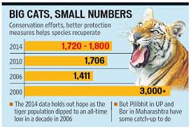 good news tiger population in india is increasing