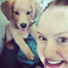 Icarus a Suni and Max pup he is so handsome