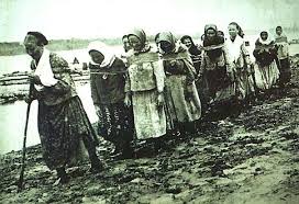 Закарпатська поліція затримала 34-річного жителя Рахова, якого підозрюють у смертельному наїзді на прикордонника - Цензор.НЕТ 427