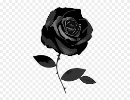 Gothic Black Flower Rose Goth Freetoedit Black Instagram Theme Dividers Clipart 3692541 Pinclipart