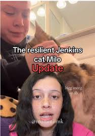 Milo Jenkins Cat Before and After
