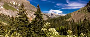 Learn more about individual category rankings. Home Colorado Allergy Asthma Centers P C