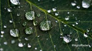 Clima hoy pronostico del tiempo. Estado Del Tiempo En Agricultura 15 Mejores Webs Online De Informacion Del Tiempo