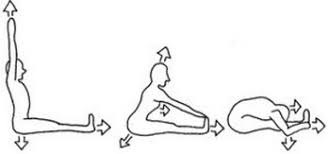 Paschimottanasana Seated Forward Bend Steps Benefits Forward Bend Bladder Body
