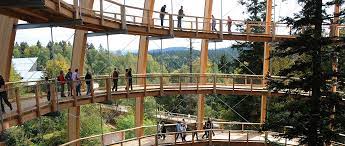 Der bayerische wald ist ein mittelgebirge in bayern und erstreckt sich über die regierungsbezirke niederbayern und oberpfalz. Bayerischer Wald