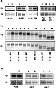 You'll find both simple and complex designs all throughout my site, yet i'm linking to the more advanced pages here to make it easy for you to find inspirational doodle food and stress relief. Multiple Domains Of Tonebp Cooperate To Stimulate Transcription In Response To Hypertonicity Journal Of Biological Chemistry