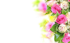 Wer möchte online blumenversand vor der haustür ihres geliebten? Hintergrundbilder Rosen Blumen Zusammensetzung Zartlichkeit Weisser Hintergrund 3200x1980 Wallhaven 690523 Hintergrundbilder Wallhere
