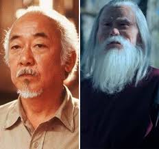 Miyagi-Verse- Karate Kid -Cobra Kai- Fans