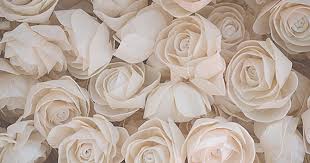 Check spelling or type a new query. Sid S Sola Wood Flowers